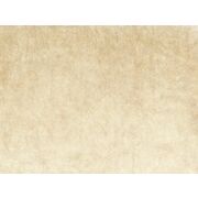 Thumb_2331_378_1