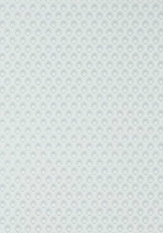 Big_at79154_1