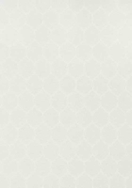 Big_at79145_1