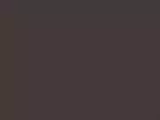 Thumb_2600_28_1