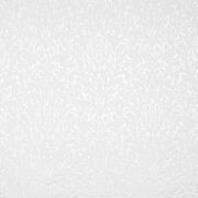 Thumb_8056_01_09_pge_1