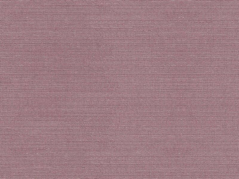 Big_2584_43_1