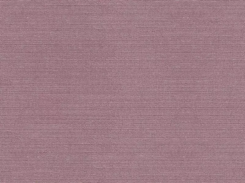 Big_2584_43_1