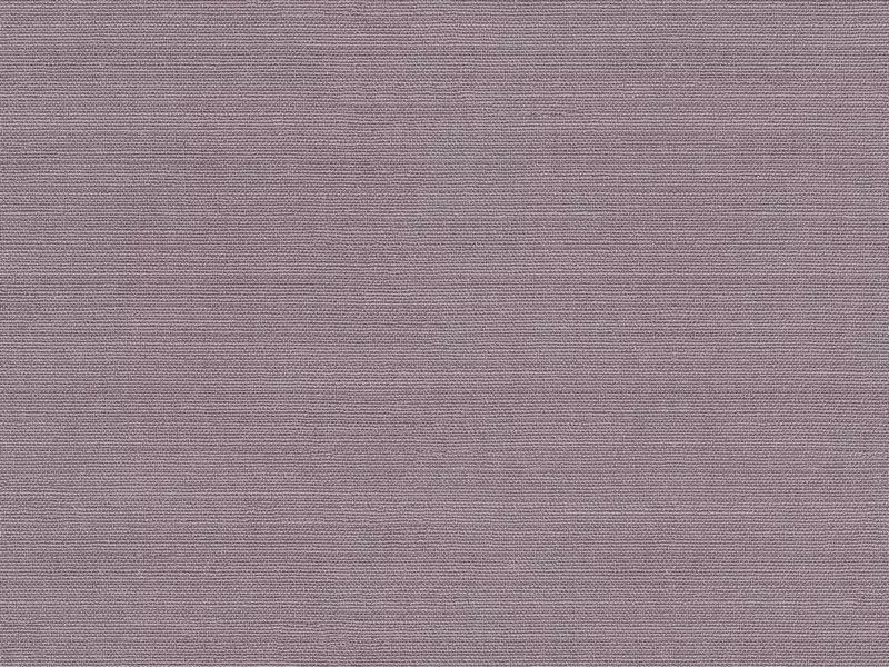 Big_2584_44_1