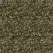 Thumb_1_4182_030_1