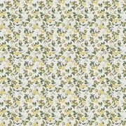 Thumb_1_8874_040_1