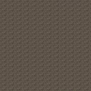 Thumb_1_4185_071_1