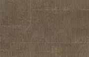 Thumb_250_03_rm_1