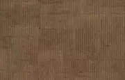 Thumb_250_09_rm_1