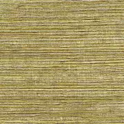 Thumb_711_06_vp_1