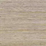Thumb_710_10_vp_1