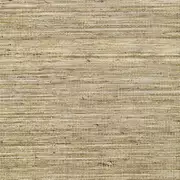 Thumb_710_07_vp_1