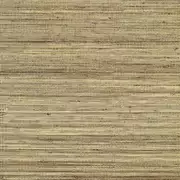 Thumb_710_12_vp_1