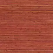 Thumb_710_14_vp_1