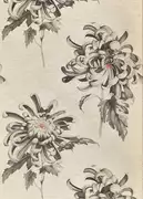 Thumb_312734_1