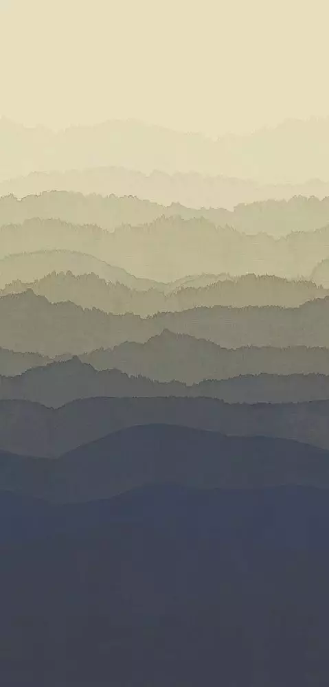 Big_312732_1
