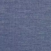 Thumb_f1099_07_1