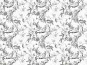 Thumb_2486_62_1