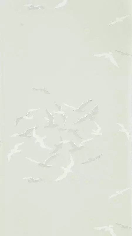 Big_216580_1