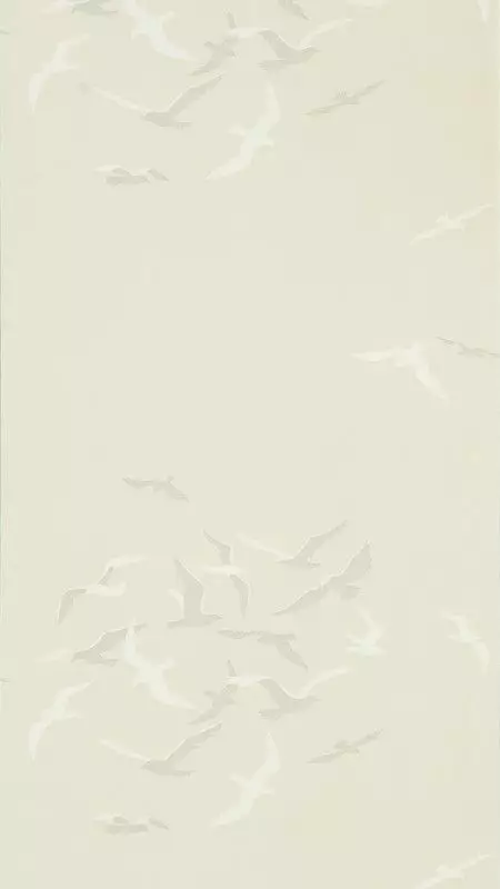 Big_216579_1