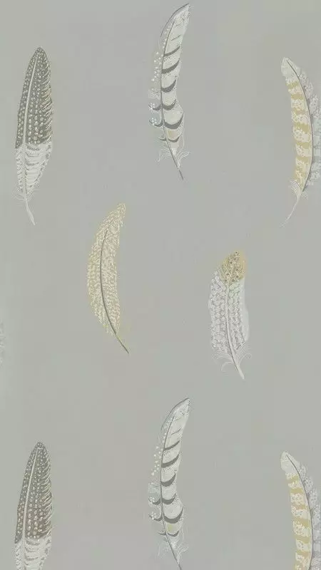 Big_216605_1