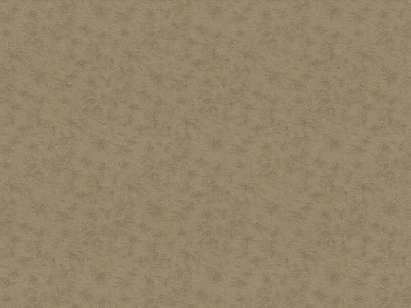 Big_2535_17_1