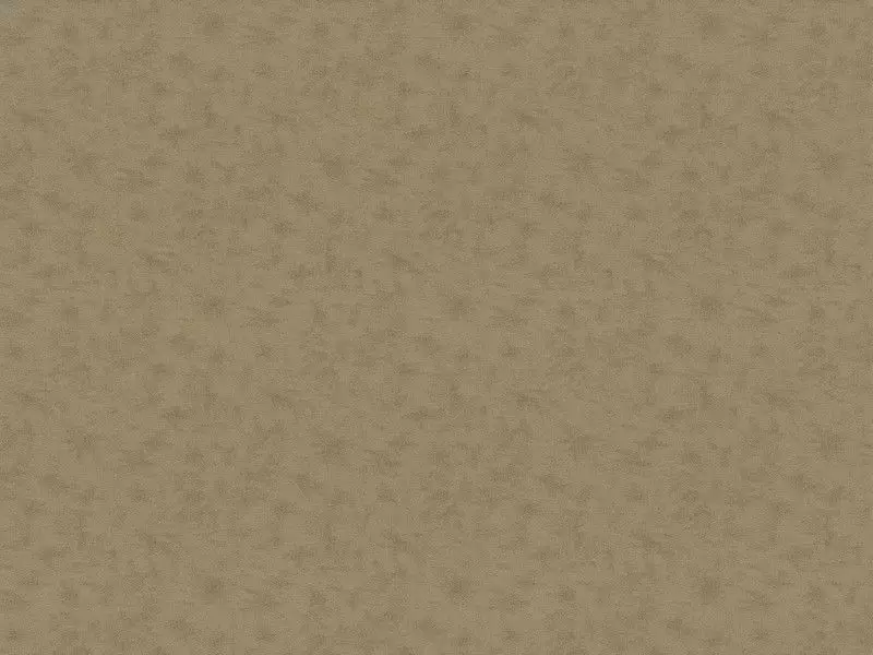 Big_2535_17_1