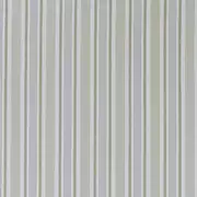Thumb_f1310_06_1