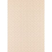 Thumb_132909_1