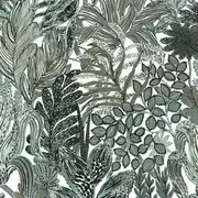 Thumb_7432_01_20_1