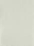 Thumb_112125_1