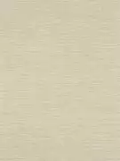 Thumb_112107_1