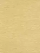 Thumb_112100_1