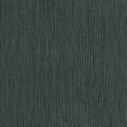 Thumb_7420_06_40_1