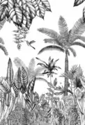 Thumb_7429_01_80_1