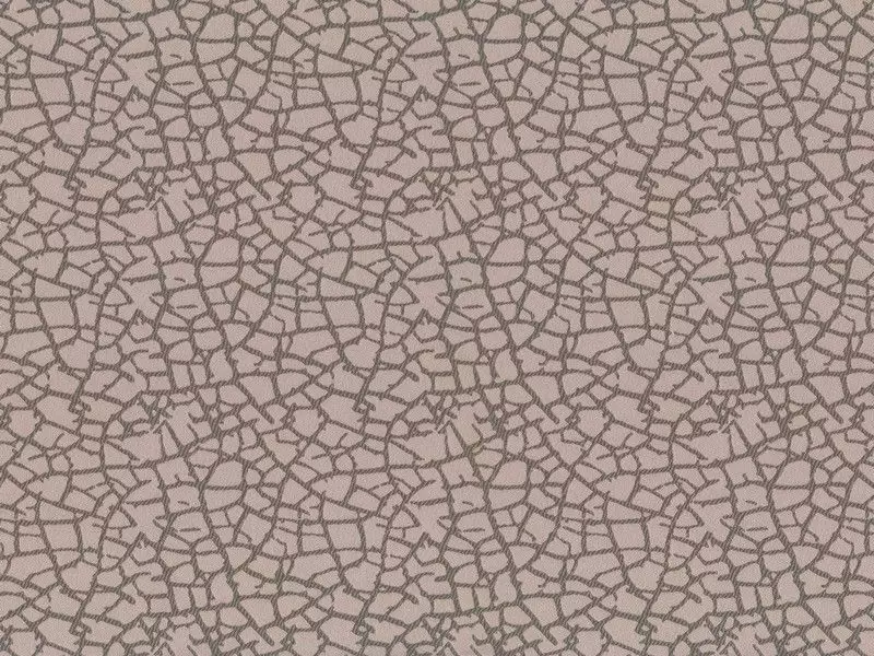 Big_2639_82_1