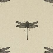 Thumb_f1327_02_1