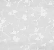 Thumb_10771_100_1