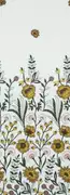 Thumb_10761_103_1