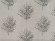 Thumb_2646_62_1