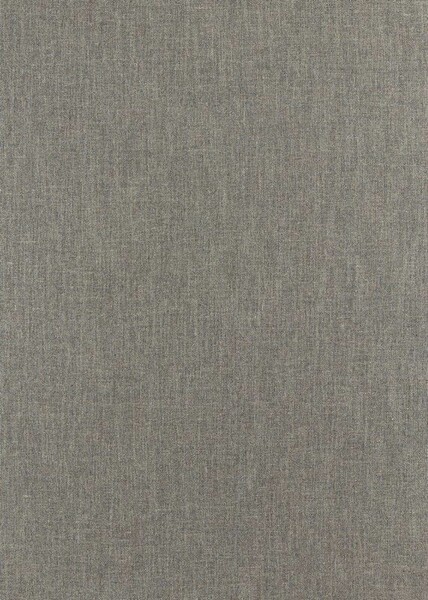 Big_236838_1