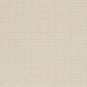 Thumb_f1299_05_1