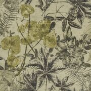 Thumb_f1301_01_1