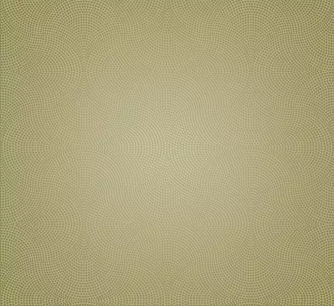 Big_shine_sh52_1