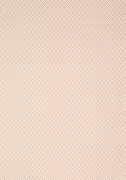 Thumb_at9676_1