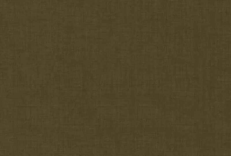 Big_lino_ln55_1