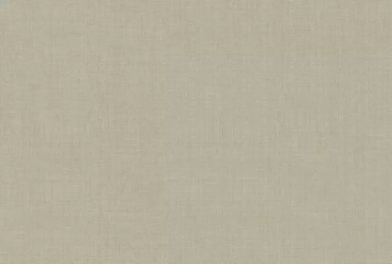 Big_lino_ln53_1
