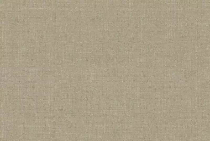 Big_lino_ln63_1