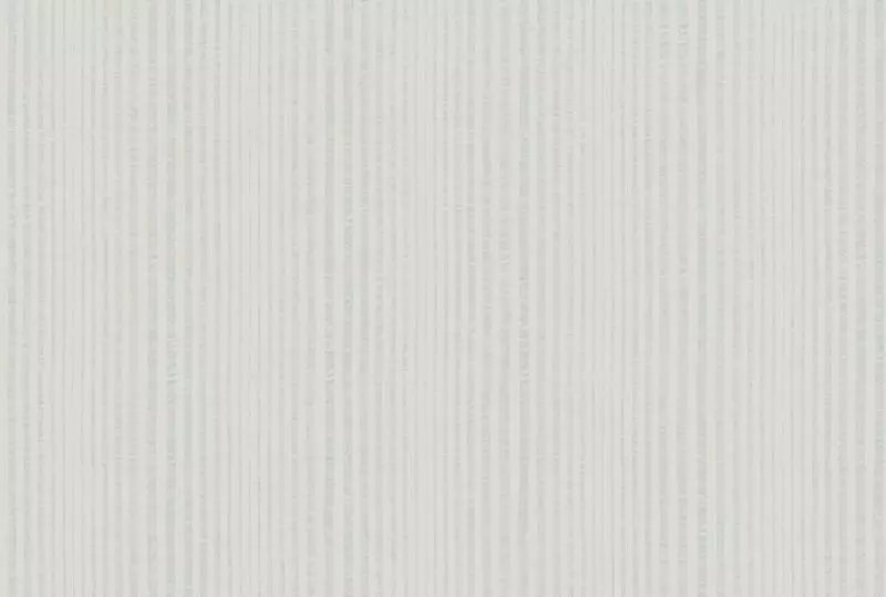 Big_lino_ln41_1