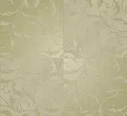 Thumb_shine_sh22_1